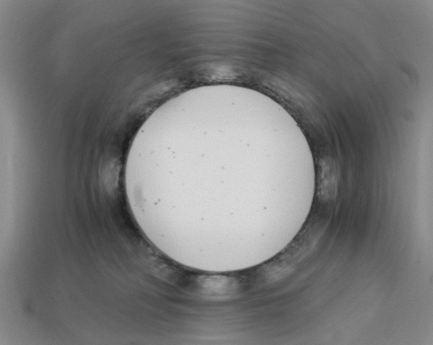 X0000113170230200910021529