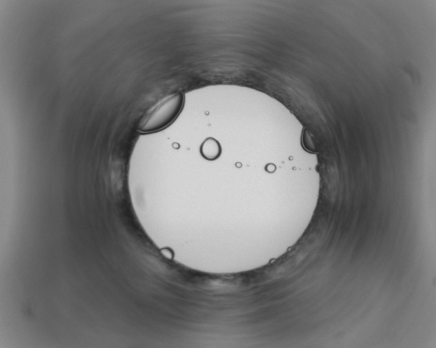 X0000113170232200910021529