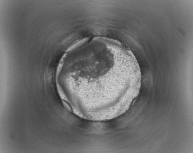 X0000113170233200910021529