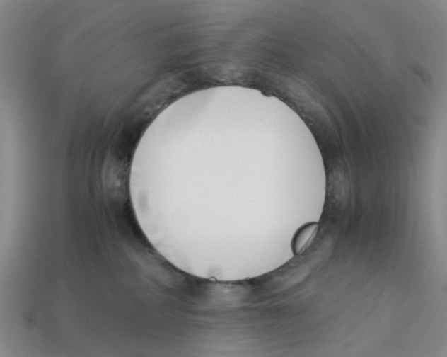 X0000113170234200910021529