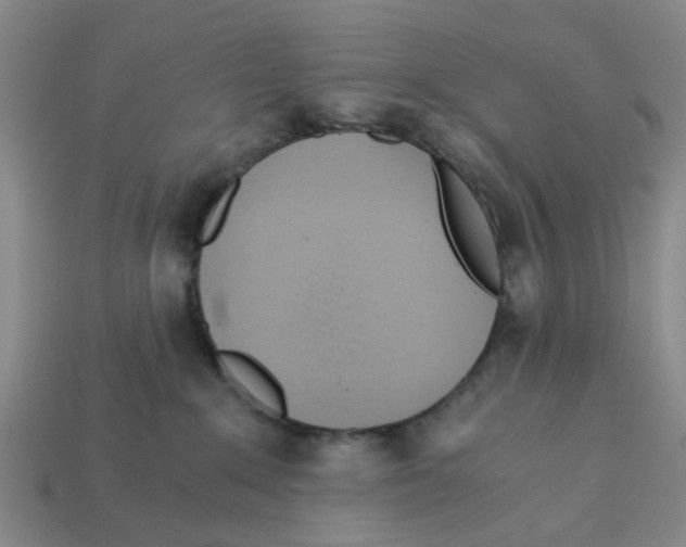 X0000113170235200910021529