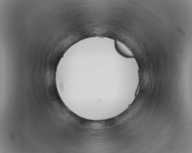 X0000113170236200910021529