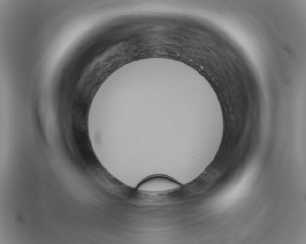 X0000113170239200910021529