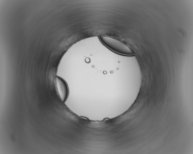 X0000113170240200910021529