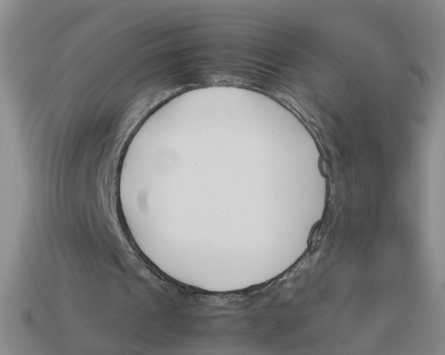 X0000113170241200910021528