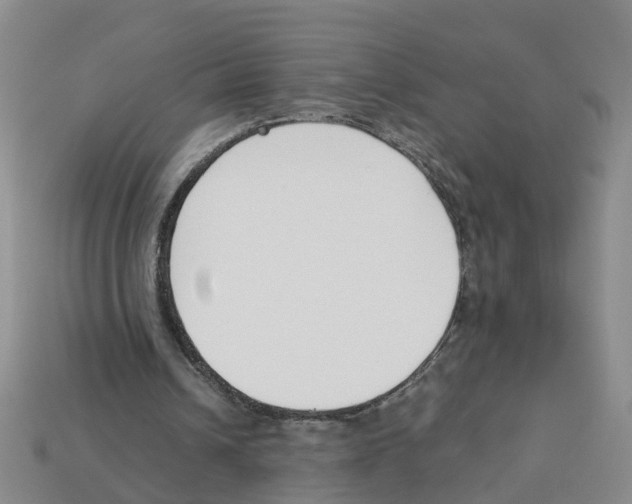 X0000113170242200910021528
