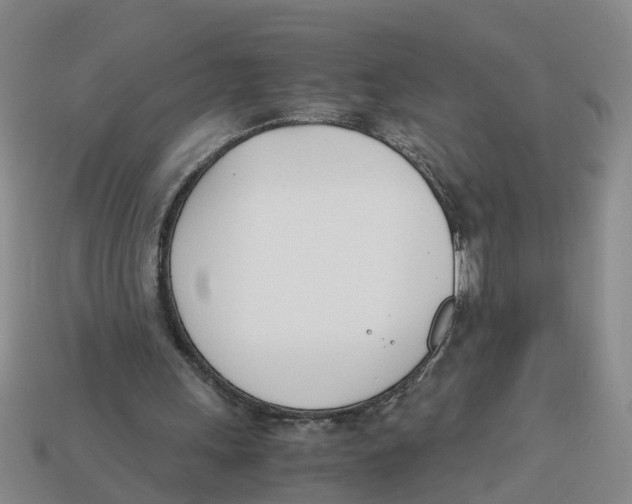 X0000113170243200910021528