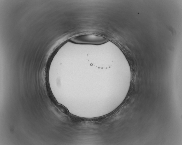 X0000113170244200910021528