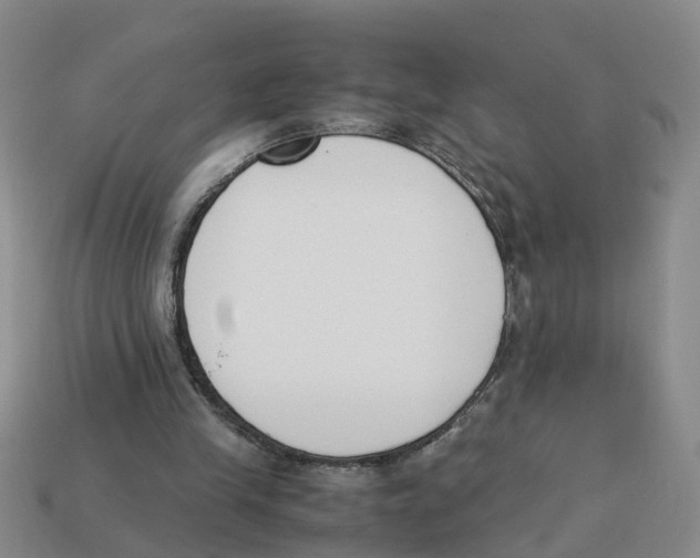 X0000113170245200910021528