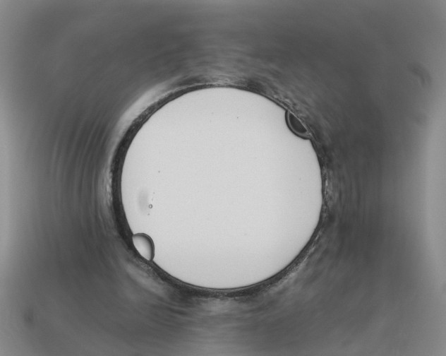 X0000113170246200910021528