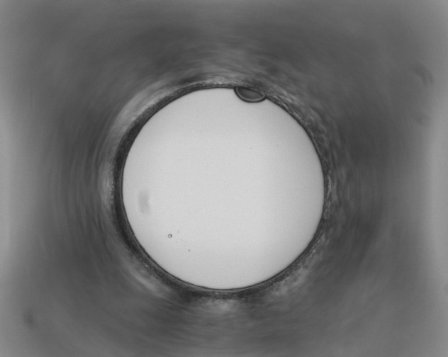 X0000113170247200910021528