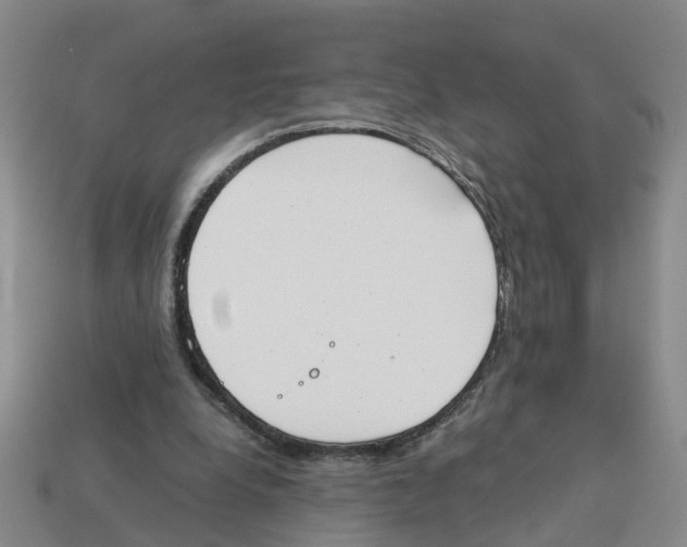 X0000113170248200910021528