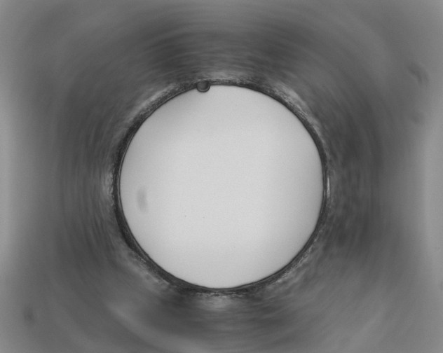 X0000113170249200910021528