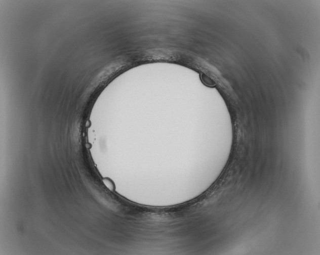 X0000113170250200910021528
