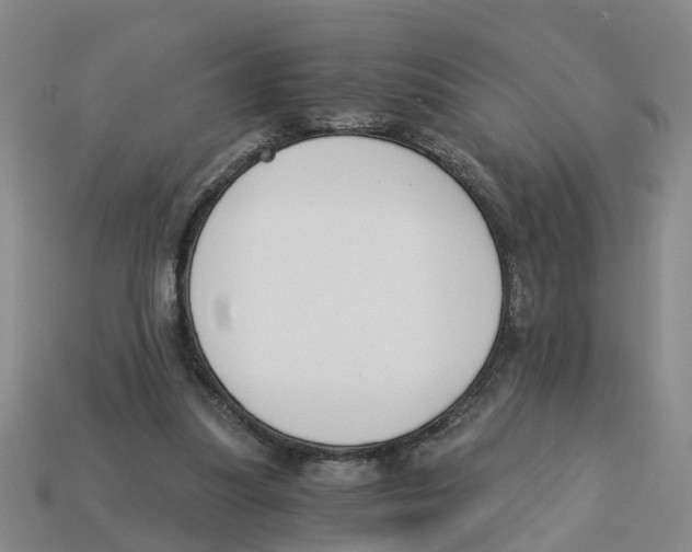 X0000113170251200910021528