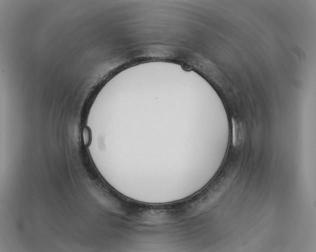 X0000113170252200910021528