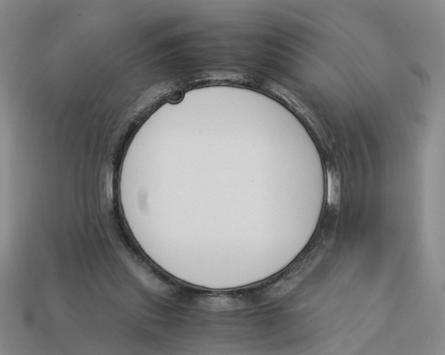 X0000113170253200910021528
