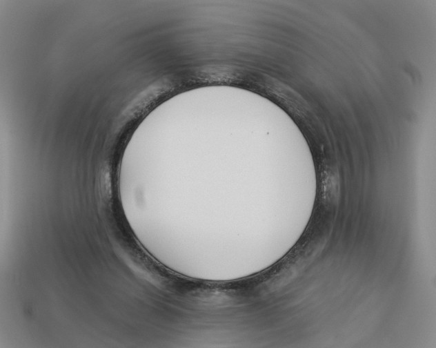X0000113170254200910021528