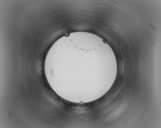 X0000113170255200910021528