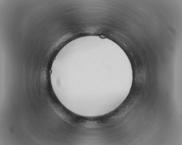 X0000113170256200910021528
