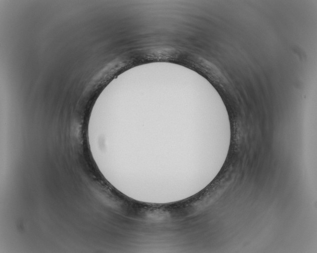 X0000113170258200910021528