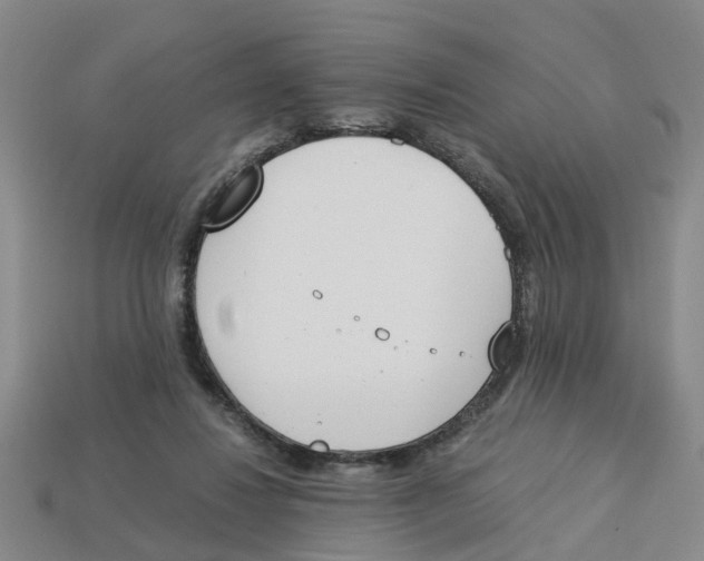 X0000113170260200910021528