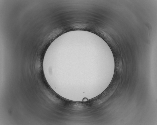X0000113170261200910021528