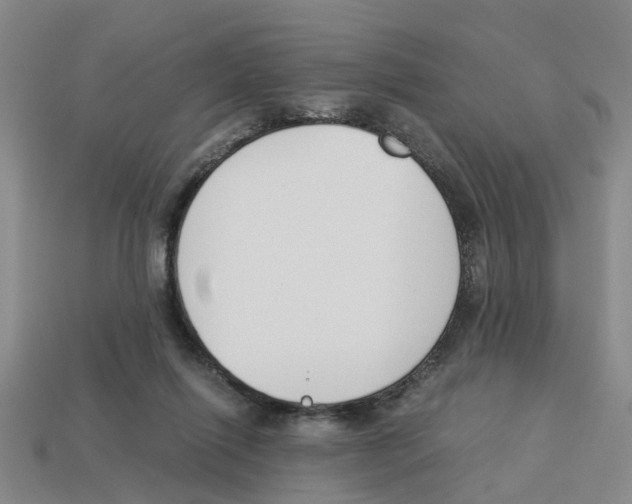 X0000113170262200910021528