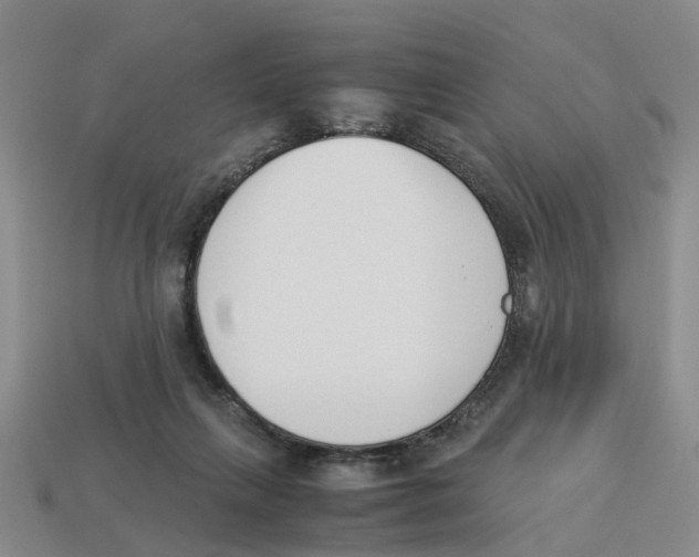 X0000113170263200910021528