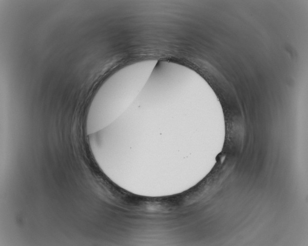X0000113170264200910021528