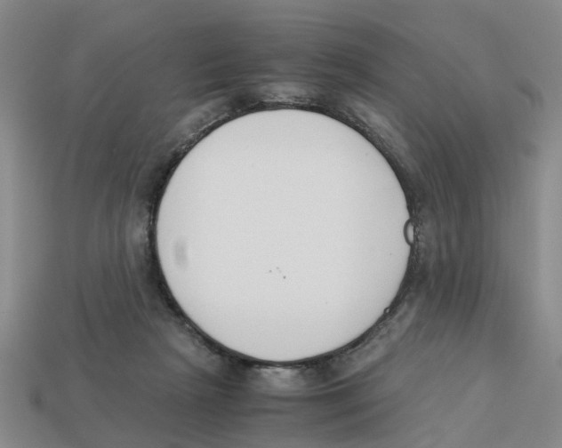 X0000113170265200910021528