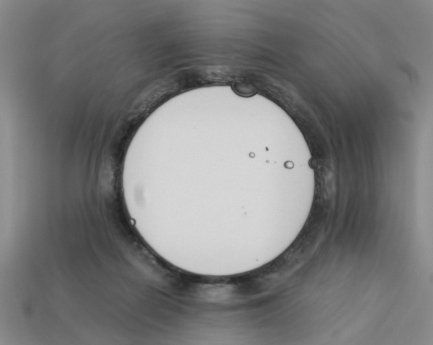 X0000113170266200910021528