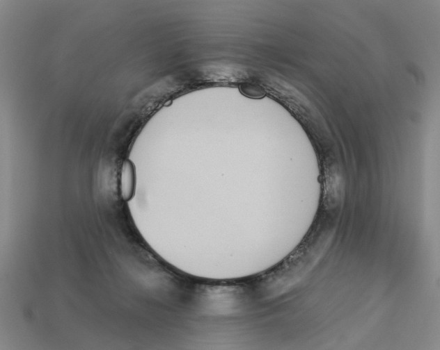 X0000113170268200910021529