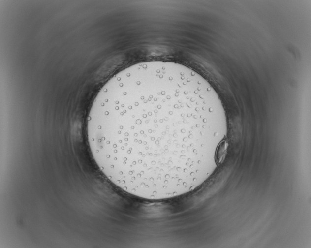 X0000113170269200910021529