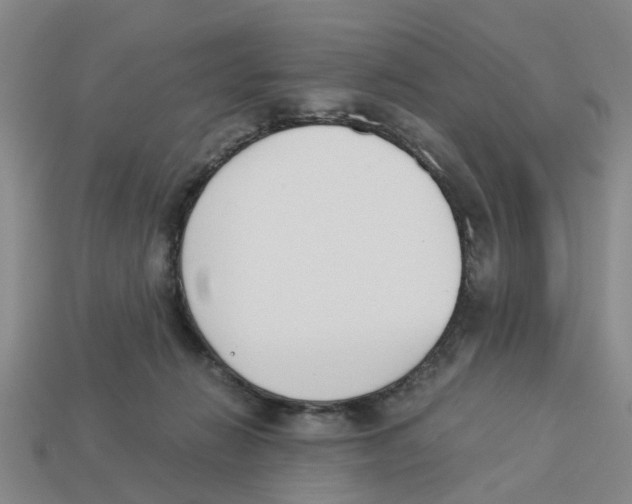 X0000113170270200910021529