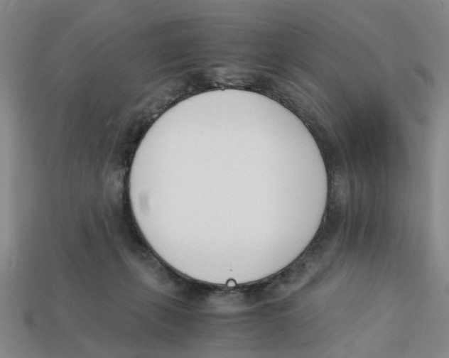 X0000113170271200910021529