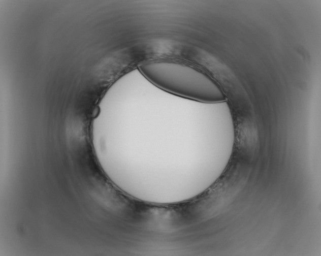 X0000113170272200910021529