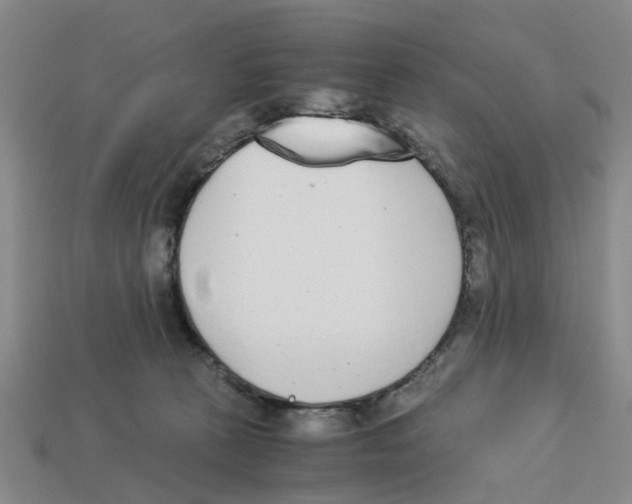 X0000113170273200910021529