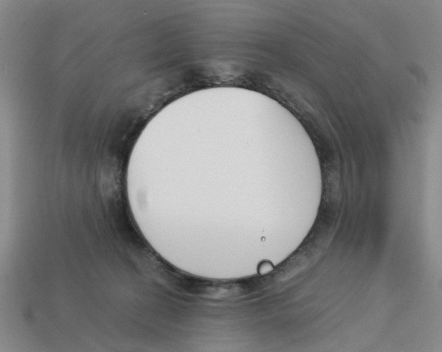 X0000113170274200910021529
