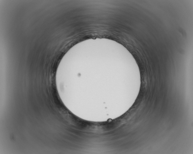 X0000113170276200910021529