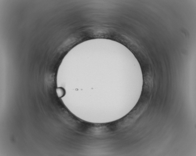 X0000113170278200910021529