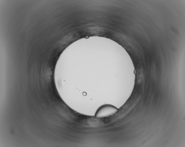 X0000113170279200910021529