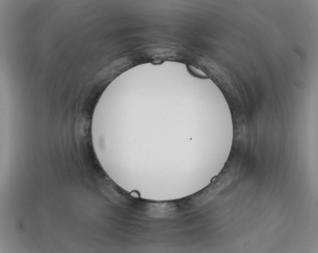 X0000113170281200910021529