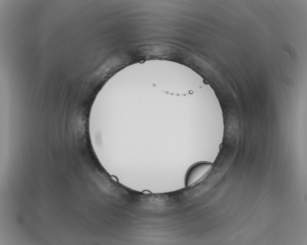 X0000113170282200910021529