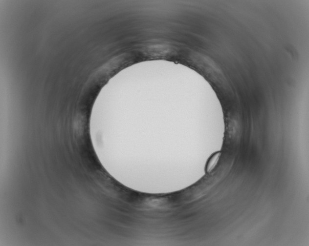 X0000113170283200910021529