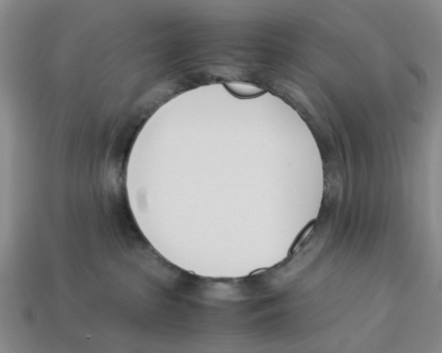 X0000113170285200910021529