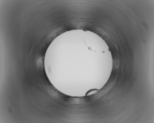 X0000113170286200910021529