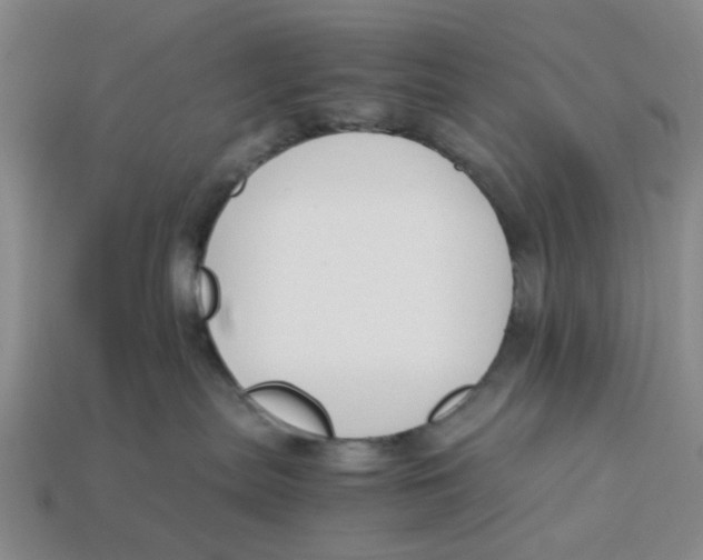 X0000113170287200910021529