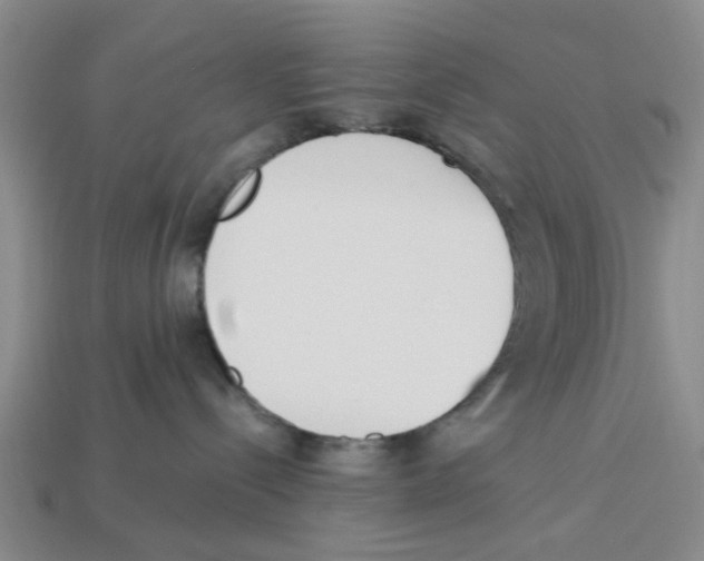 X0000113170288200910021529