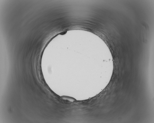 X0000113170289200910021528